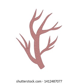 Cute tree branch Illustration. Hand drawn cartoon branch illustration. Woodland Animals.