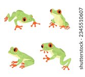 Cute tree frogs set. Vector illustration of tropical watercolor frog isolated on white