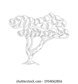 Cute tree with a lush foliage and roots. Isolated black and white object in the white background for coloring pages. Flat style illustration.