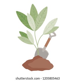 cute tree plant with earth isolated icon
