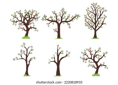 cute tree shape illustration graphic