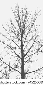 Cute Tree without leaves Background. Vector Illustration