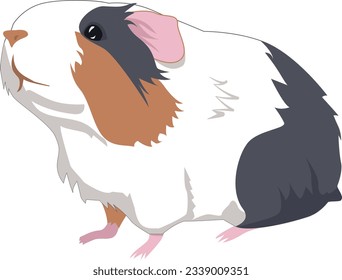 Cute tricolor guinea pig. Adorable pet. Vector illustration.