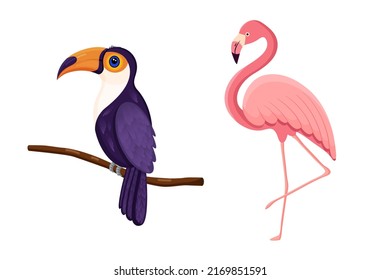 Cute tropical birds toucan and flamingo. Vector illustration.