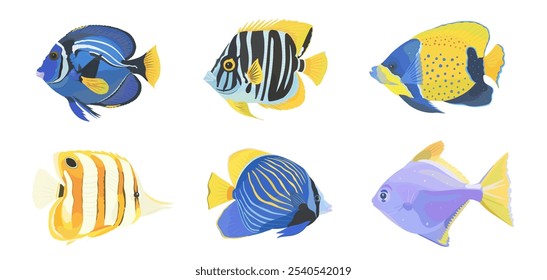 Pescado tropical lindo, pez Tang azul, pez mariposa, pez ángel ceñido azul aislado sobre fondo blanco. Conjunto de iconos de Ilustración vectorial de dibujos animados.