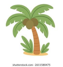 Cute tropical palm tree with coconuts and green leaves for summer, beach or island themes.