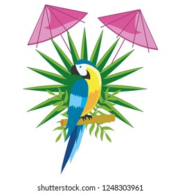 cute tropical parrot cartoon