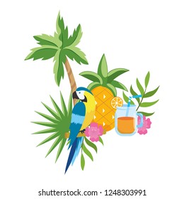 cute tropical parrot cartoon