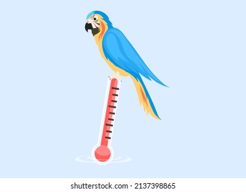 Cute tropical parrot sits on thermometer with red scale. Concept of global warming temperature increase on planet. Exotic bird hot climate dweller and device for measuring air and water temperature