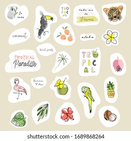 cute tropical set of different stickers with wild birds, exotic fruits, flowers and leaves. Summer cartoon doodle hand drawn vector elements