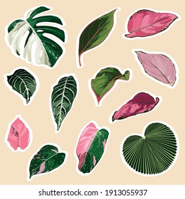 Cute tropical set of different stickers with wild exotic  leaves. Summer cartoon doodle hand drawn elements.