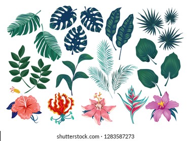 Cute tropical stickers and labels. Summer set of leaves and flowers. Vector illustration