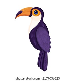 Cute tropical toucan bird vector illustration for advertising, children book, postcards, posters and more
