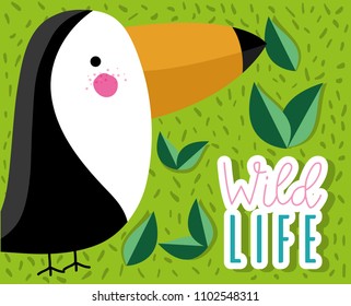 Cute tucan wildlife bird