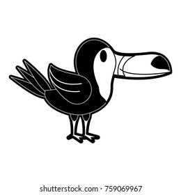 Cute tucano bird