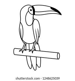 cute tucano cartoon