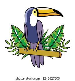 cute tucano cartoon