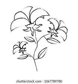 cute tulip flower with leafs decorative