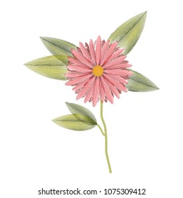 cute tulip flower with leafs decorative