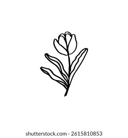 cute tulip flower vector illustration hand drawn black and white style