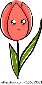 Tulipán, ilustración, vector sobre fondo blanco.