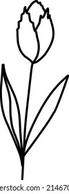 Cute tulip on a white background