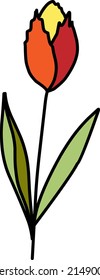 Cute tulip on a white background