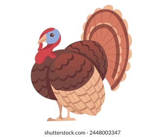 Cute turkey bird cartoon animal design vector illustration isolated on white background