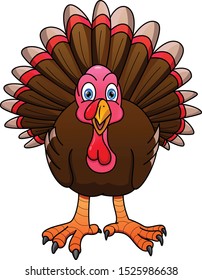cute turkey bird cartoon isolated on a white background
