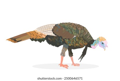 Süße Türkei Vogel Cartoon Vektorgrafik. Landwirtschaftliches Geflügel, isolierter Clipart von Wildtieren.