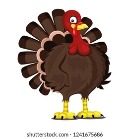 Cute turkey bird standing on white background.