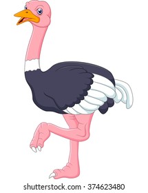 Cute turkey cartoon