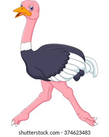Cute turkey cartoon