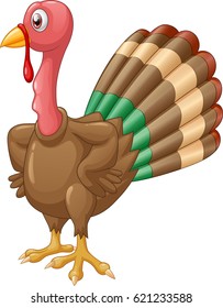 Cute turkey cartoon vector illustration