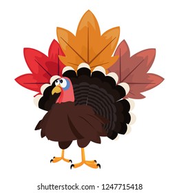 cute turkey and maple leaves