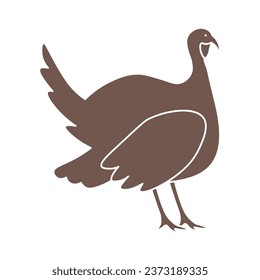Cortar el pavo sobre fondo blanco
