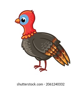 Cute turkey stands on a white background. Beautiful vector illustration in cartoon style with poultry.