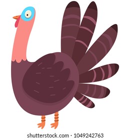 Cute turkey vector cartoon flat character. Bird illustration isolated on white background.