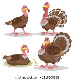 Cute turkeys set. Cartoon simple gradient design. Female and male birds standing. Thanksgiving symbols. Farm animals characters and mascots. Vector illustrations.