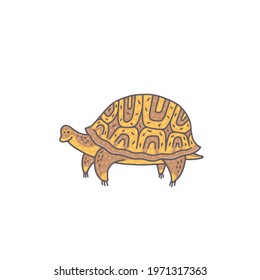 Cute turtle animal. Cartoon colorful character illustration.