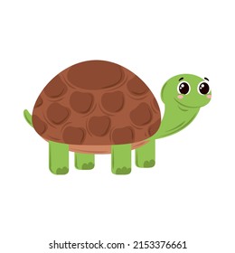 cute turtle animal cartoon icon isolated