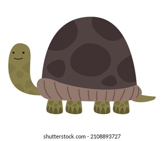 cute turtle animal comic character