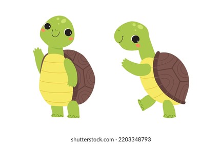 Cute turtle baby animals set. Tortoise reptilian animal character standing on hind legs cartoon vector illustration