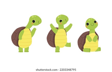 Cute turtle baby animals set. Funny tortoise reptilian animal character standing and sitting cartoon vector illustration