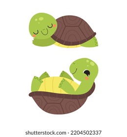 Animales pequeños de tortuga. Graciosa tortoise reptilia personaje animal mintiendo y durmiendo ilustración vectorial de dibujos animados