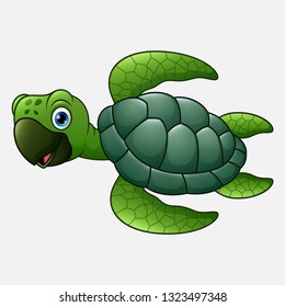 Cute turtle cartoon