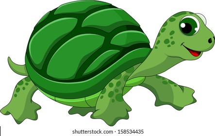 Cute turtle cartoon