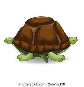 Cute turtle cartoon