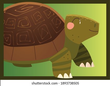 cute turtle cartoon animal tropical wildlife vector illustration