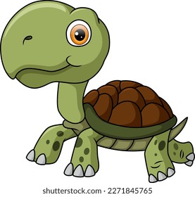 Cute turtle cartoon on white background
